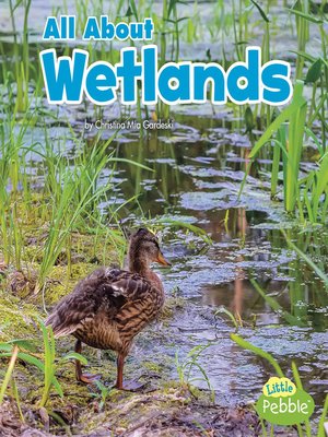 cover image of All About Wetlands